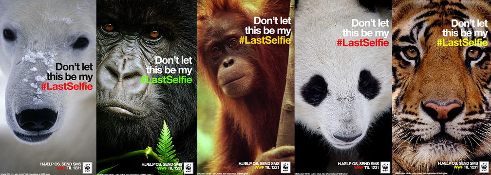 WWF selfie